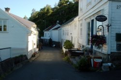 Die Straße zum Fjord